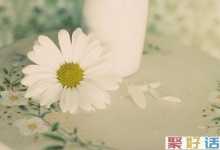 最新空间个性文案:命运握在自己手里,而不是别人嘴里-聚好话