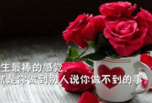 一句话内涵的励志文案:既然人生的幕布已经拉开,就一定要积极的-聚好话