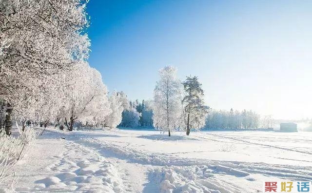 非常适合在下雪天发朋友圈的文案,暖心!插图(1) 非常适合在下雪天发朋友圈的文案,暖心!插图(1)