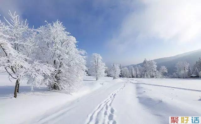非常适合在下雪天发朋友圈的文案,暖心!插图(2) 非常适合在下雪天发朋友圈的文案,暖心!插图(2)