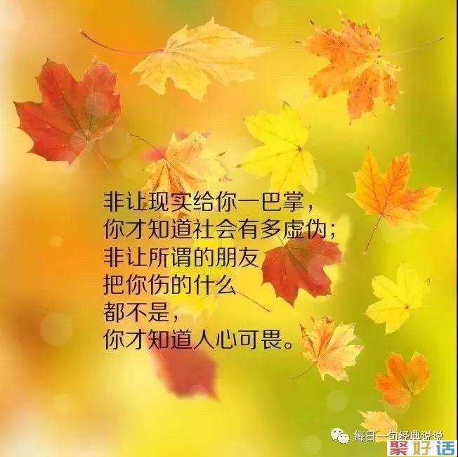 2020朋友圈最毒辣的文案:不发生点烂事,永远看不清身边人的模样。插图(5) 2020朋友圈最毒辣的文案:不发生点烂事,永远看不清身边人的模样。插图(5)