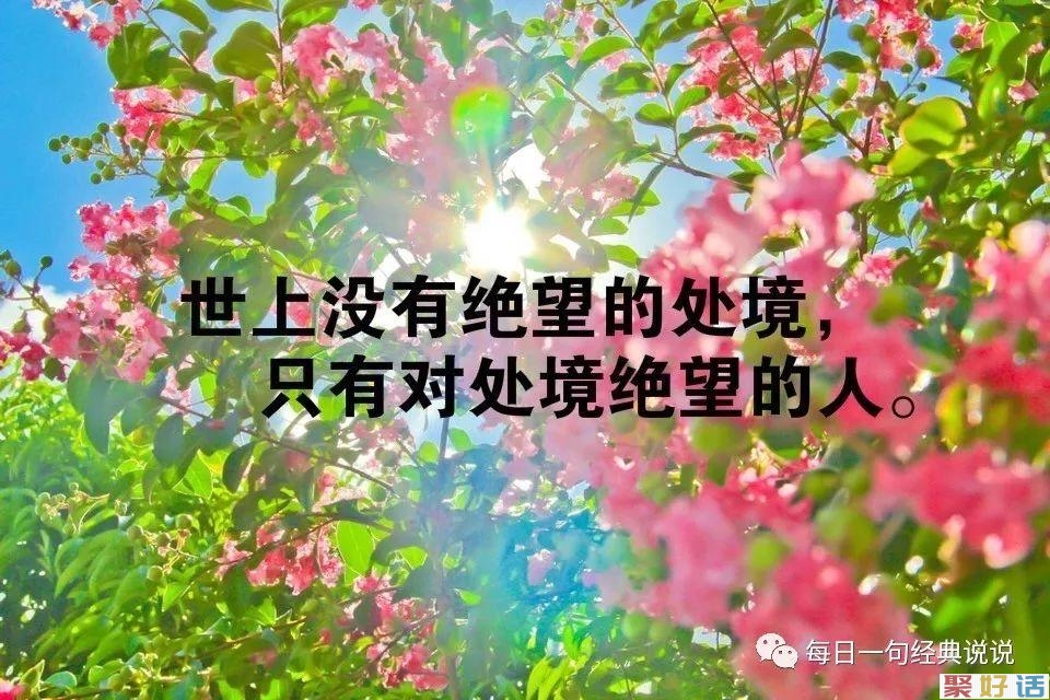 2020朋友圈最毒辣的文案:不发生点烂事,永远看不清身边人的模样。插图(2) 2020朋友圈最毒辣的文案:不发生点烂事,永远看不清身边人的模样。插图(2)
