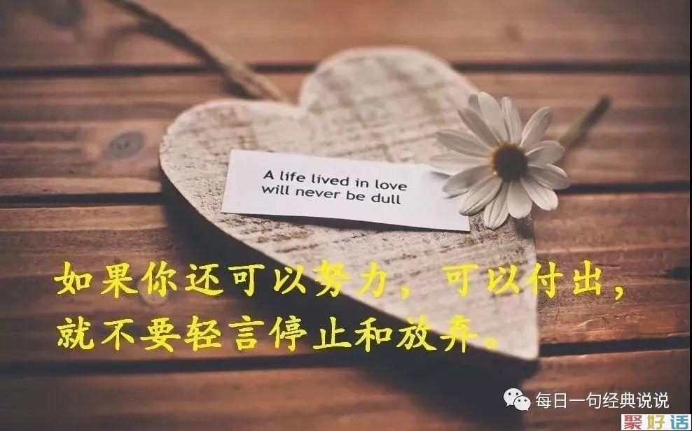 2020朋友圈那些凄凉的文案: 不等了,就当风没吹过,我没爱过。插图(9) 2020朋友圈那些凄凉的文案: 不等了,就当风没吹过,我没爱过。插图(9)