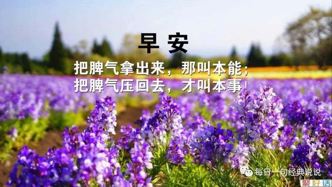 2020朋友圈最毒辣的文案:不发生点烂事,永远看不清身边人的模样。插图(3) 2020朋友圈最毒辣的文案:不发生点烂事,永远看不清身边人的模样。插图(3)