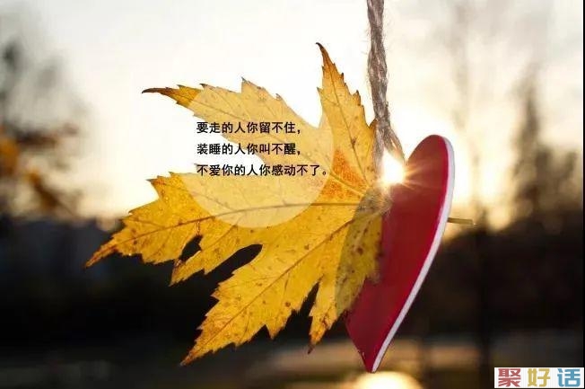 12条抖音和朋友圈经典走心的文案: 有时候,逃避,不一定躲得过;面对,也不一定最难受。-聚好话