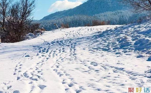 非常适合在下雪天发朋友圈的文案,暖心!插图(4) 非常适合在下雪天发朋友圈的文案,暖心!插图(4)