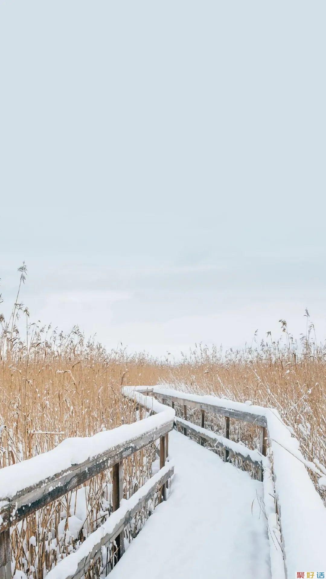 非常有文章的初冬第一场雪文案: 霜雪落满头,也算共白首插图(4) 非常有文章的初冬第一场雪文案: 霜雪落满头,也算共白首插图(4)