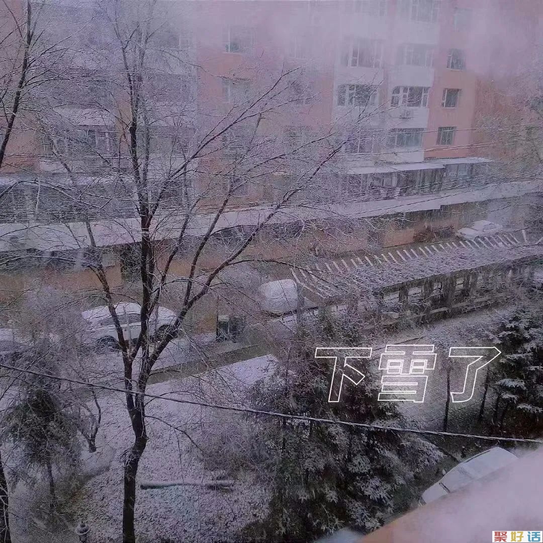 朋友圈那些热门觉的下雪的温柔文案:雪花飘落 世界都变得柔软了!插图 朋友圈那些热门觉的下雪的温柔文案:雪花飘落 世界都变得柔软了!插图