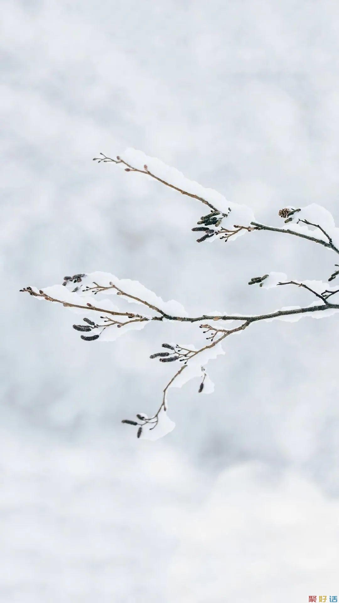 非常有文章的初冬第一场雪文案: 霜雪落满头,也算共白首插图(5) 非常有文章的初冬第一场雪文案: 霜雪落满头,也算共白首插图(5)