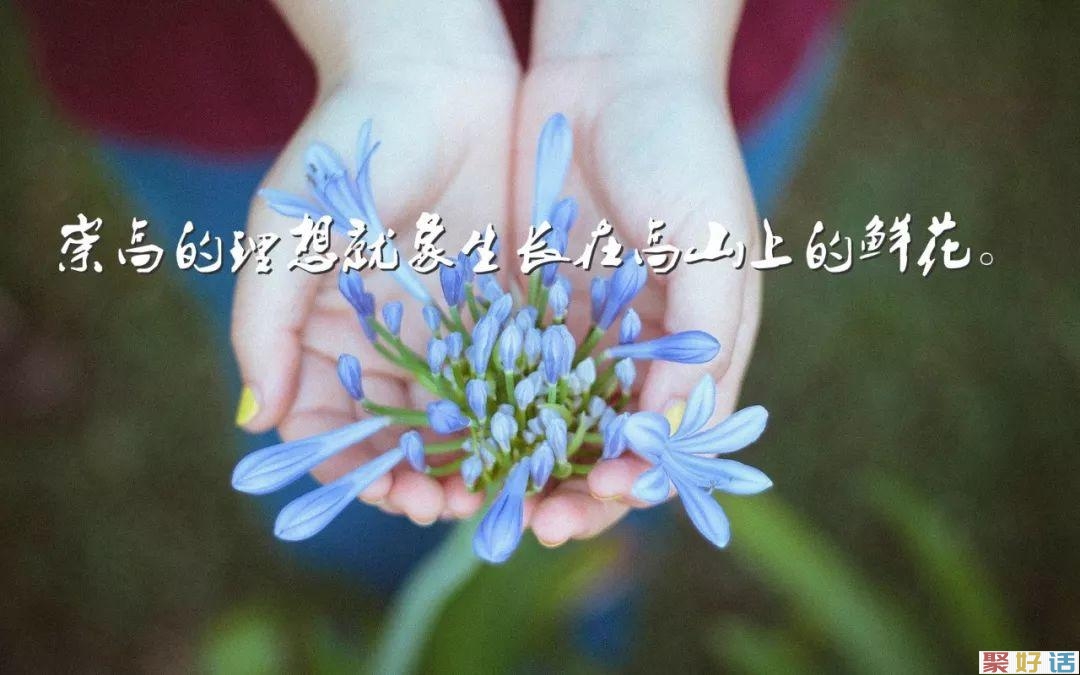 早晨激励人心的正能量句子励志朋友圈: 休说苍天不由人,我命由我不由天-聚好话