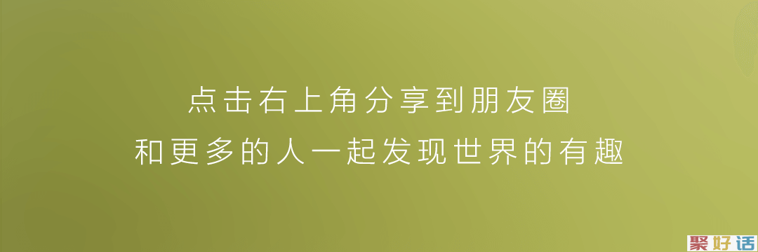 除夕文案:灯前小草写桃符插图2 除夕文案:灯前小草写桃符插图2