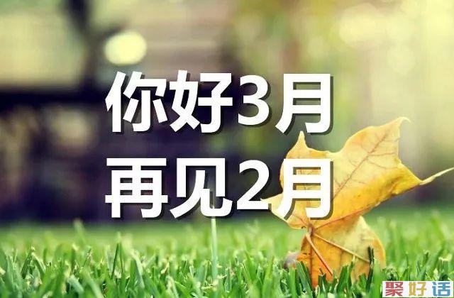 二月再见,三月你好朋友圈文案,三月你好唯美文案分享~插图 二月再见,三月你好朋友圈文案,三月你好唯美文案分享~插图