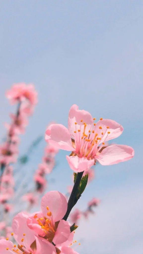 天天朋友圈APP 惊蛰 | 精选朋友圈节日文案插图6