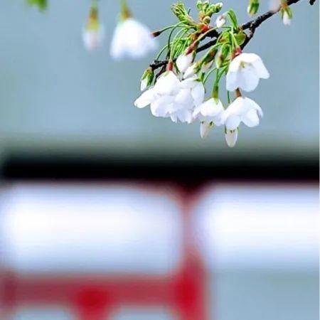 惊蛰 | 精选朋友圈节日文案插图9 惊蛰 | 精选朋友圈节日文案插图9