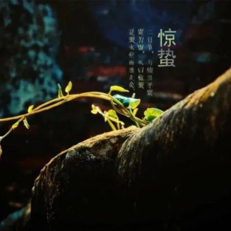 惊蛰 | 精选朋友圈节日文案插图16 惊蛰 | 精选朋友圈节日文案插图16
