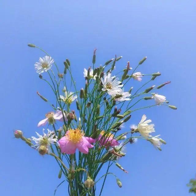 大彻大悟的人生哲理文案: 生活需要计划,否则,就只是日历上的天数。插图1 大彻大悟的人生哲理文案: 生活需要计划,否则,就只是日历上的天数。插图1