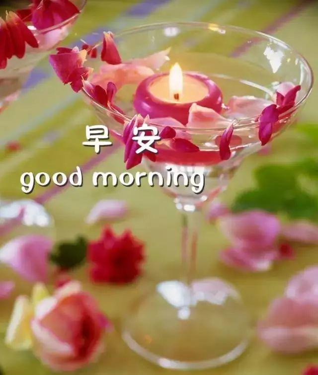 微信朋友圈早安最优美的文案: 你笑一次,我就可以高兴好几天!插图 微信朋友圈早安最优美的文案: 你笑一次,我就可以高兴好几天!插图