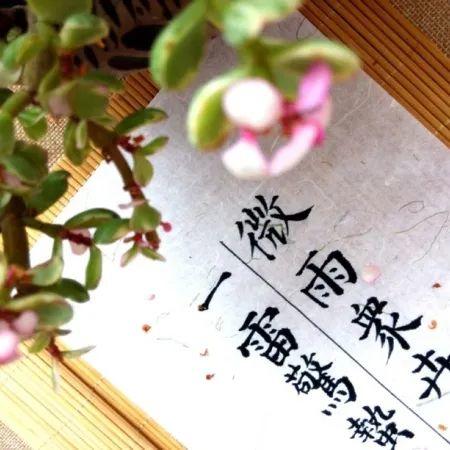 惊蛰 | 精选朋友圈节日文案插图10 惊蛰 | 精选朋友圈节日文案插图10