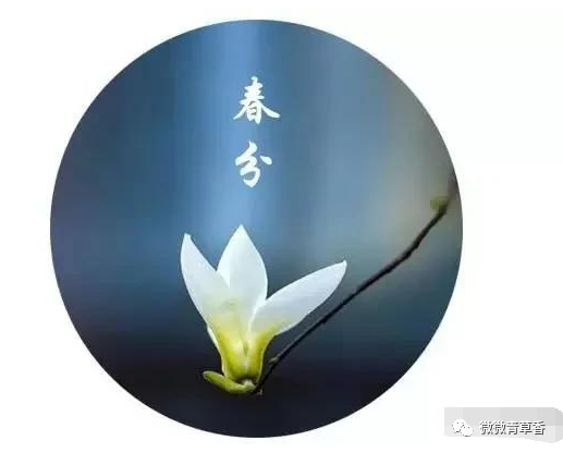 2021年3月20日,二十四节气之一春分介绍插图 2021年3月20日,二十四节气之一春分介绍插图