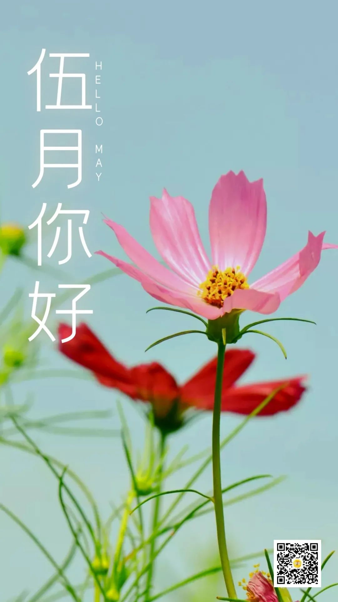 适合5月1号发朋友圈的句子!-聚好话
