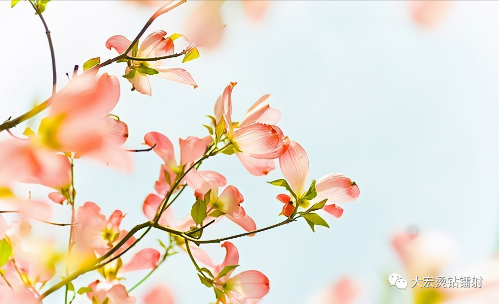 运动文案发朋友圈分享:除了汗水,什么水都不要浪费插图 运动文案发朋友圈分享:除了汗水,什么水都不要浪费插图