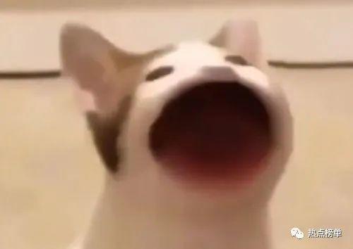 2021年火爆全网的十大流行梗排名榜单揭晓!我只会心疼哥哥排名榜首!插图5 2021年火爆全网的十大流行梗排名榜单揭晓!我只会心疼哥哥排名榜首!插图5