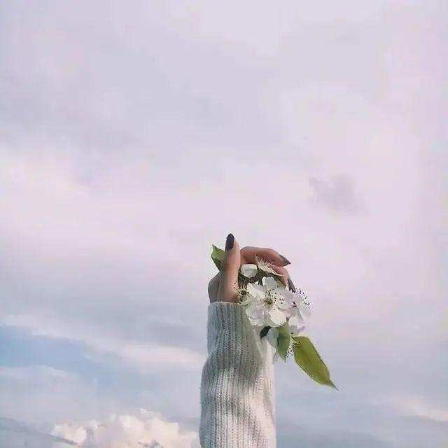 2021简短高深的,人生感悟文案:不必委曲求全,不要给自己留下遗憾!-聚好话