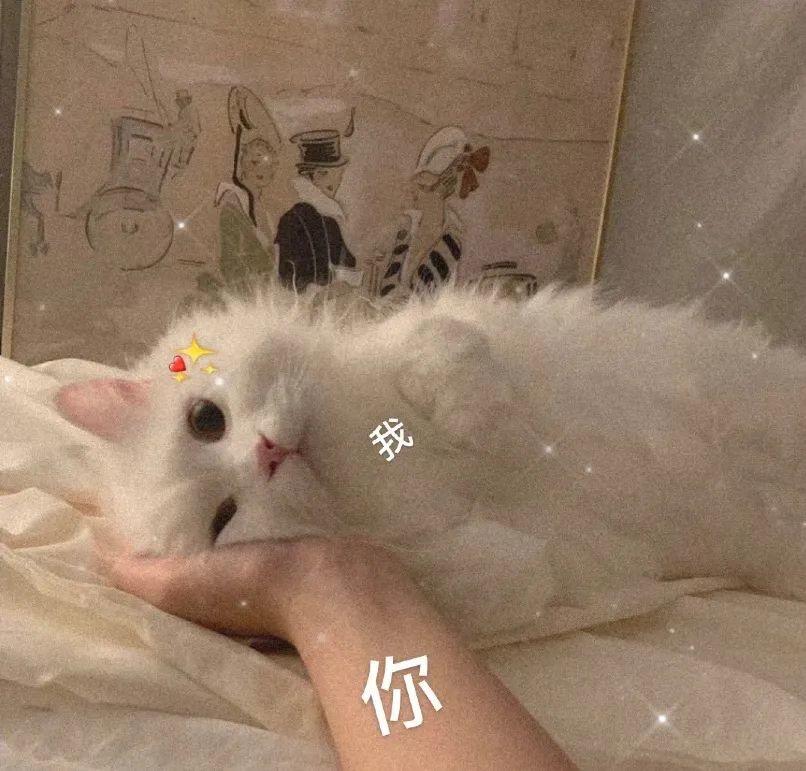 520文案之朋友圈宣告:月朗星稀比比皆是你插图8 520文案之朋友圈宣告:月朗星稀比比皆是你插图8