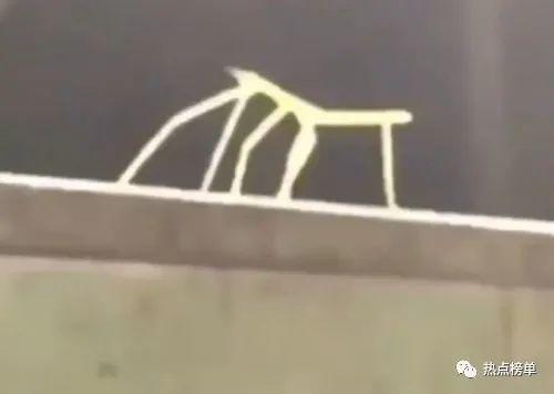 2021年火爆全网的十大流行梗排名榜单揭晓!我只会心疼哥哥排名榜首!插图6 2021年火爆全网的十大流行梗排名榜单揭晓!我只会心疼哥哥排名榜首!插图6