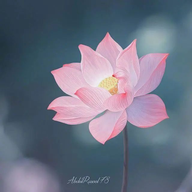大彻大悟的人生哲理文案干净治愈:人生最高境界,一是痛不言,二是笑不语。插图 大彻大悟的人生哲理文案干净治愈:人生最高境界,一是痛不言,二是笑不语。插图