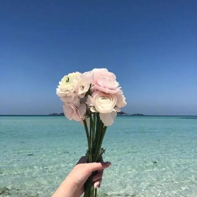 抖音上引人共鸣的人生格言文案分享:人生得失并存,你拥有了清风,就要交还明月。插图4 抖音上引人共鸣的人生格言文案分享:人生得失并存,你拥有了清风,就要交还明月。插图4