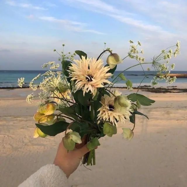 抖音上引人共鸣的人生格言文案分享:人生得失并存,你拥有了清风,就要交还明月。插图5 抖音上引人共鸣的人生格言文案分享:人生得失并存,你拥有了清风,就要交还明月。插图5