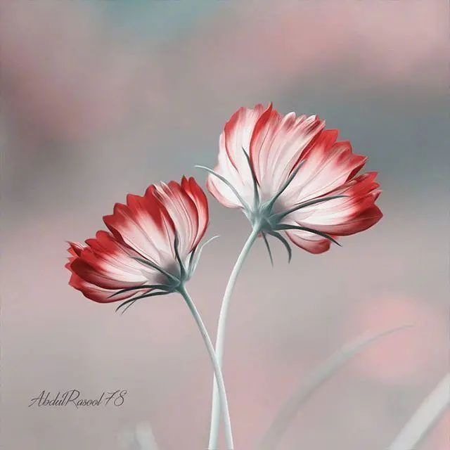 大彻大悟的人生哲理文案干净治愈:人生最高境界,一是痛不言,二是笑不语。插图6 大彻大悟的人生哲理文案干净治愈:人生最高境界,一是痛不言,二是笑不语。插图6