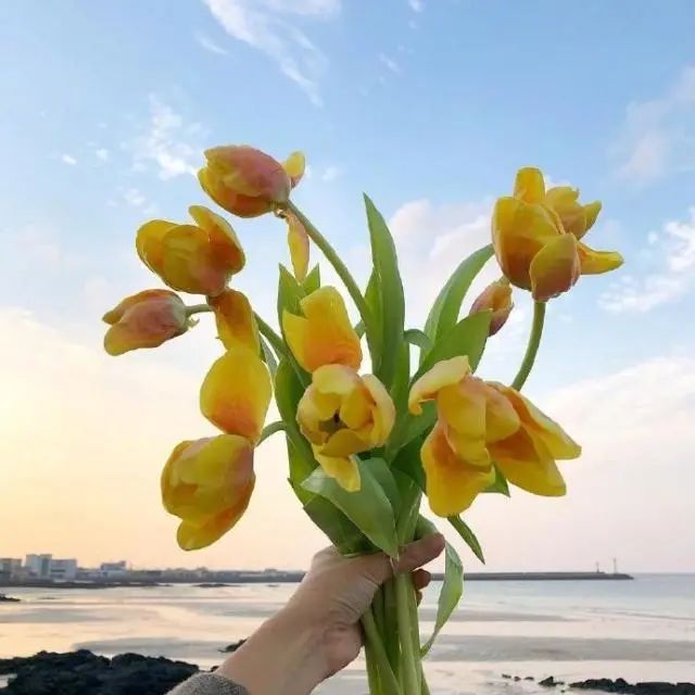 抖音上引人共鸣的人生格言文案分享:人生得失并存,你拥有了清风,就要交还明月。插图2 抖音上引人共鸣的人生格言文案分享:人生得失并存,你拥有了清风,就要交还明月。插图2